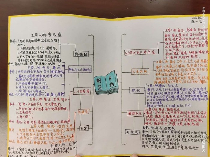 画思维导图,理清脉络,了解内容
